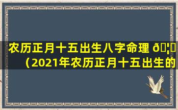 农历正月十五出生八字命理 🦍 （2021年农历正月十五出生的宝宝命运如何）